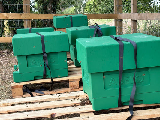 Sweet News from Essex: We've Opened Our Newest Apiary in Great Dunmow!
